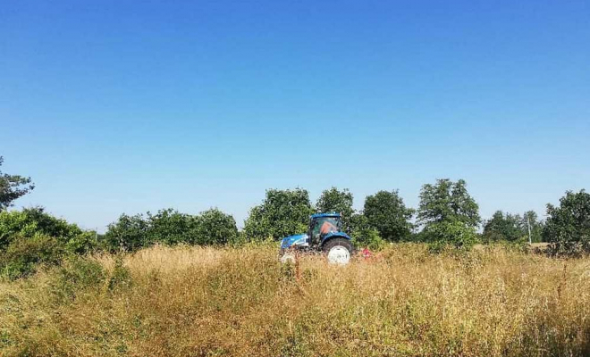 Débroussaillage de terrain, Muret, Kevin’ature