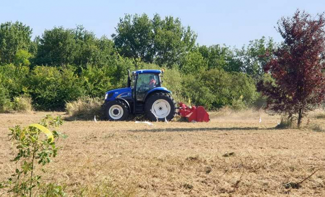 Débroussaillage de terrain, Muret, Kevin’ature